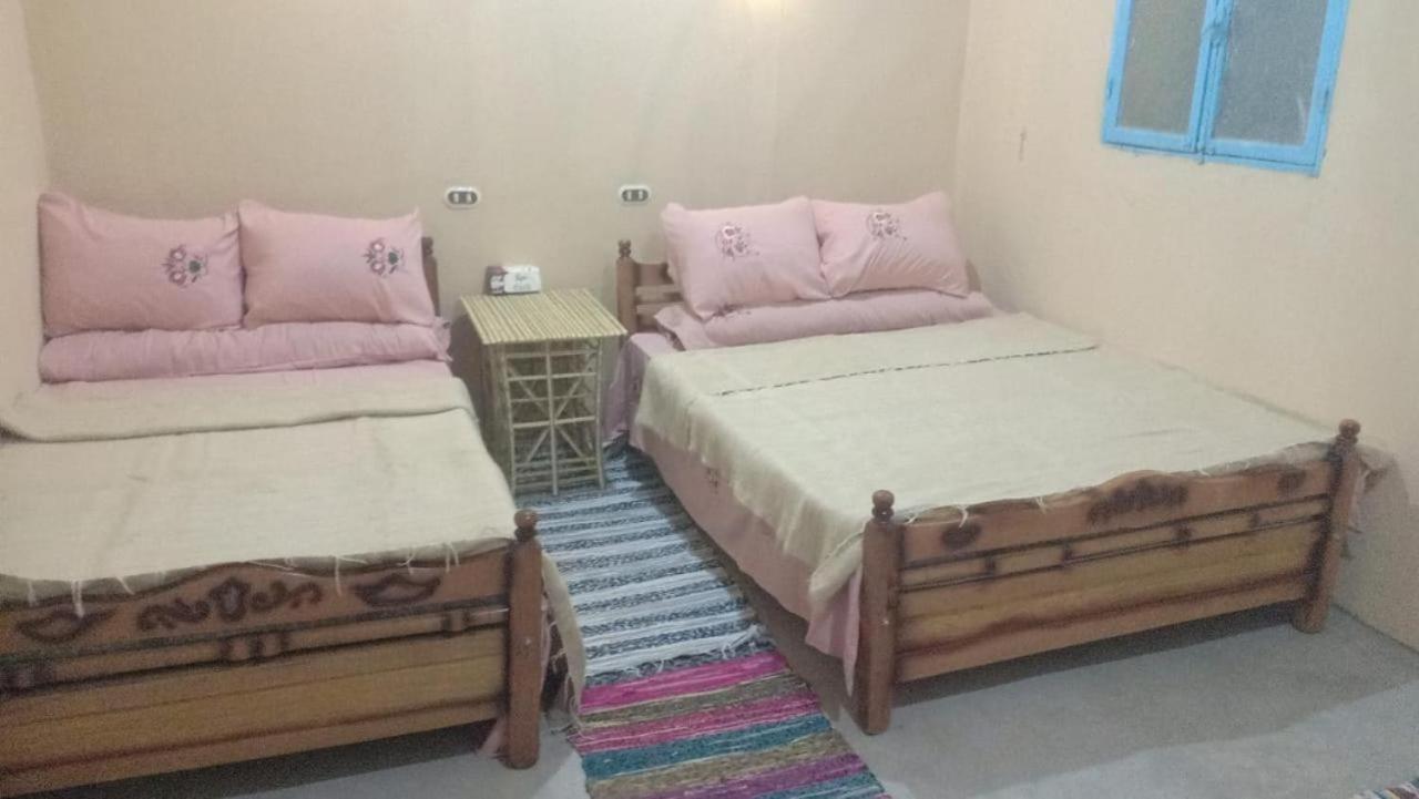 Olive Garden House Siwa Vandrerhjem Siwa Oasis Eksteriør bilde
