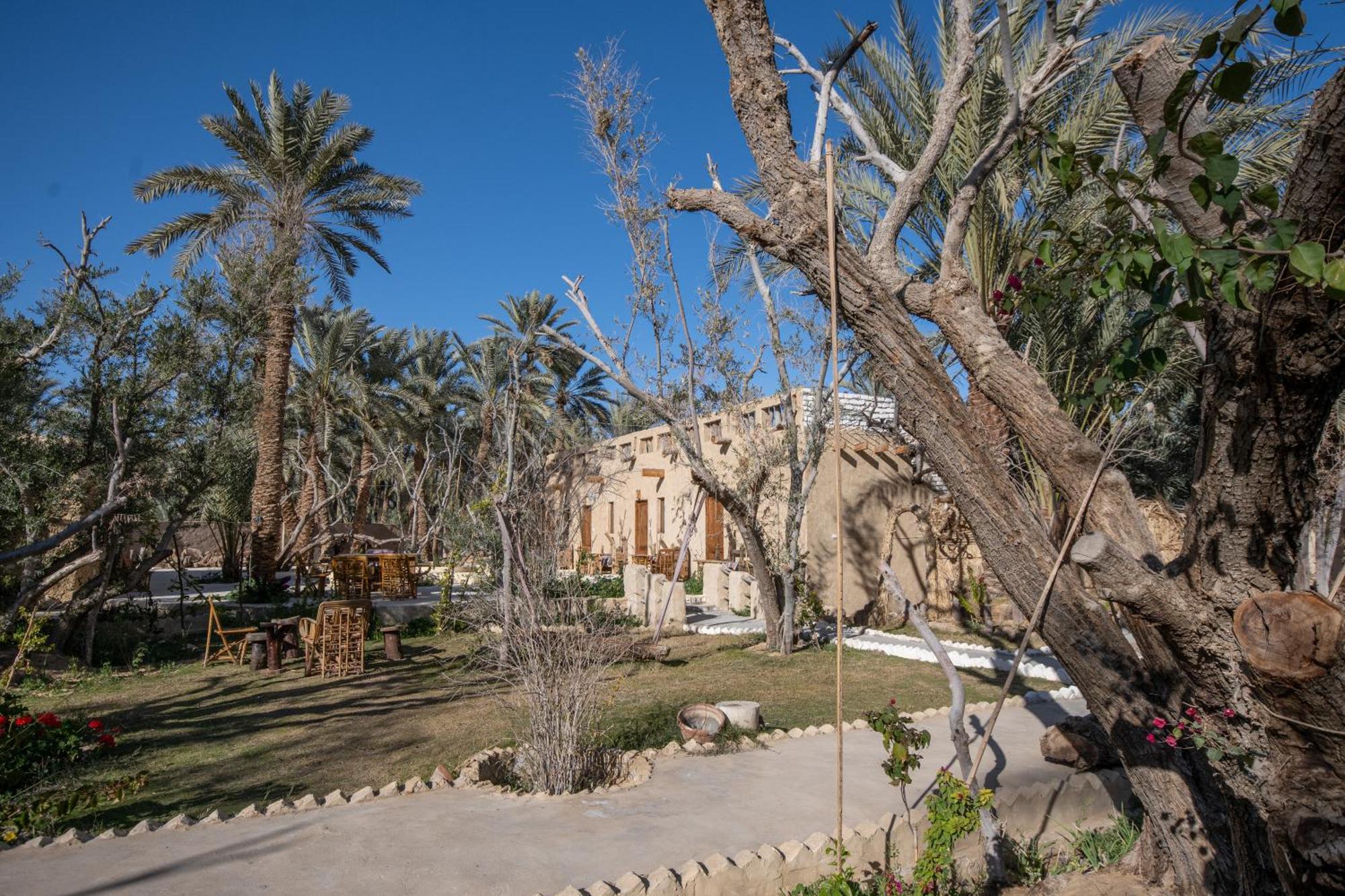 Olive Garden House Siwa Vandrerhjem Siwa Oasis Eksteriør bilde