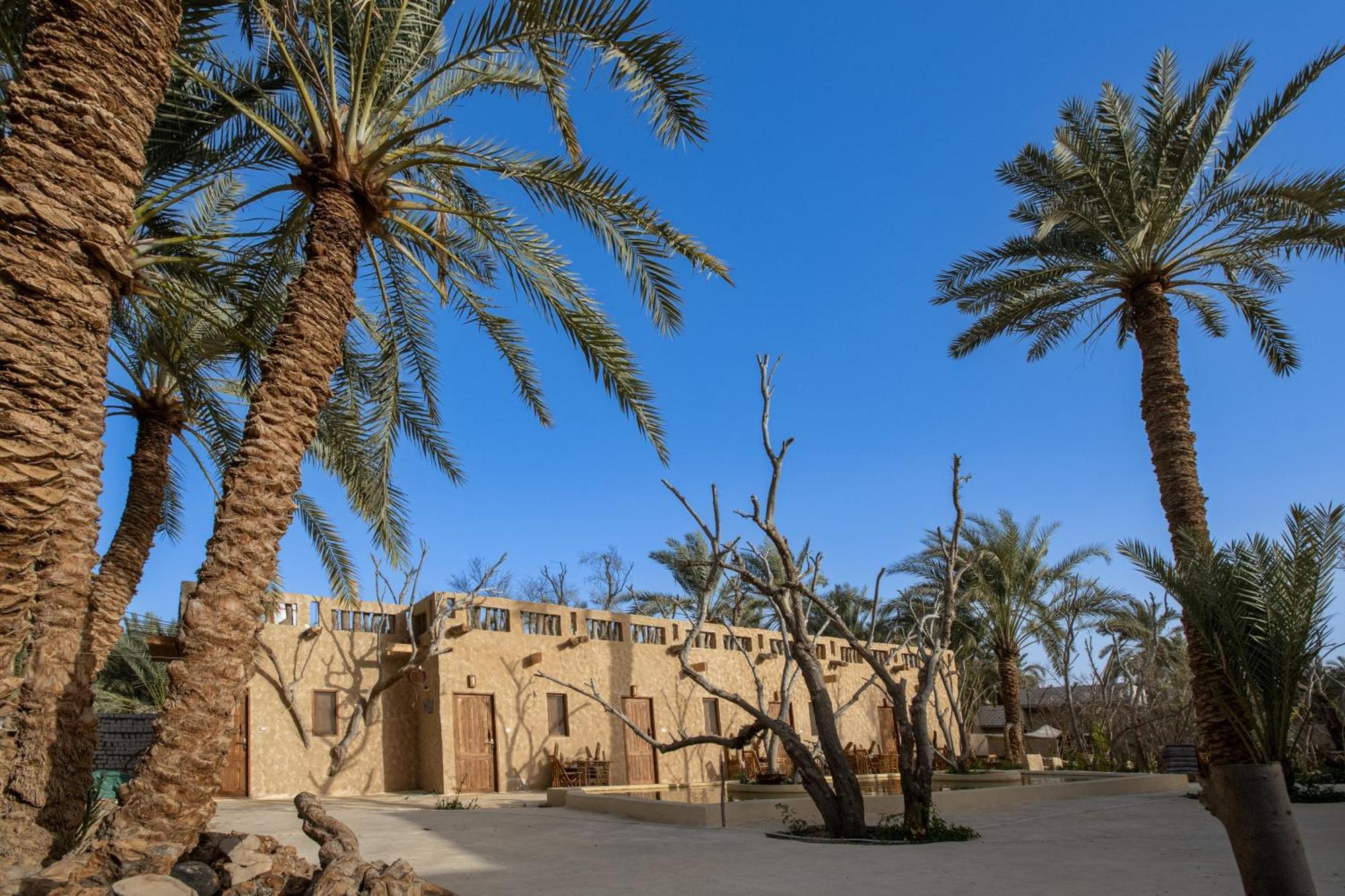 Olive Garden House Siwa Vandrerhjem Siwa Oasis Eksteriør bilde