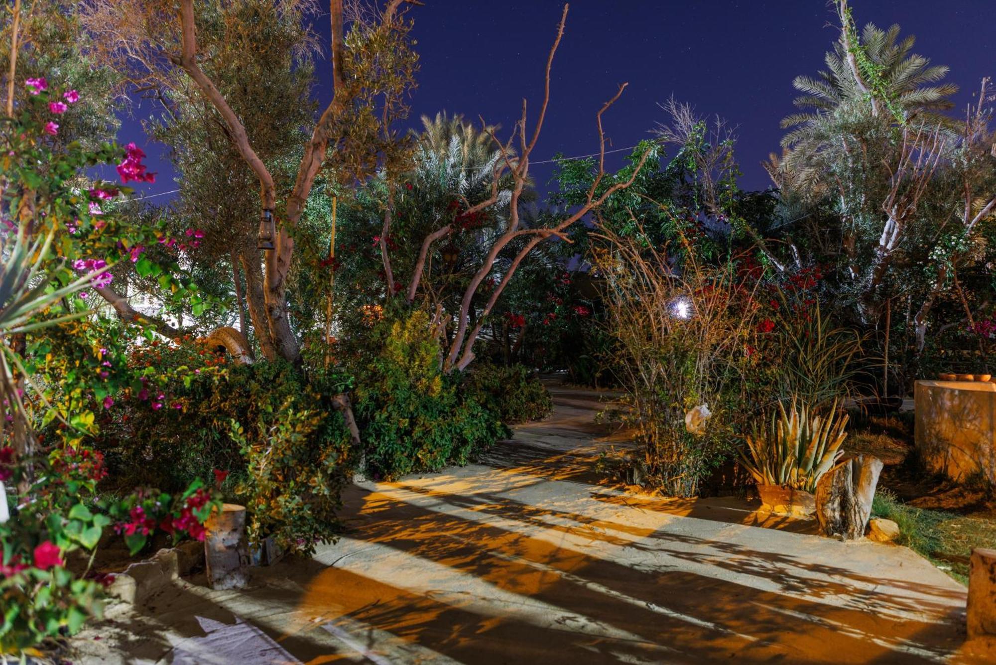 Olive Garden House Siwa Vandrerhjem Siwa Oasis Eksteriør bilde