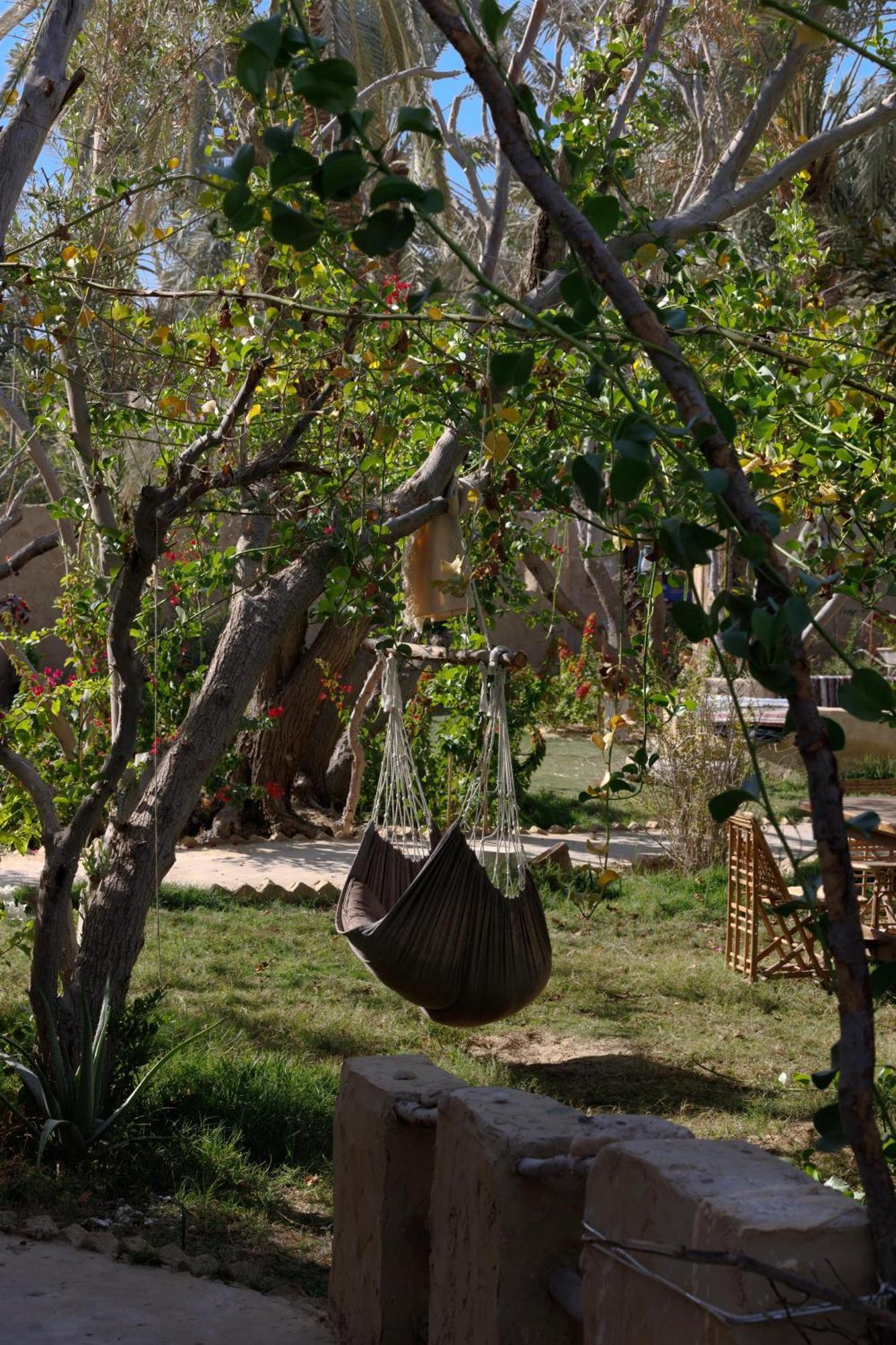 Olive Garden House Siwa Vandrerhjem Siwa Oasis Eksteriør bilde
